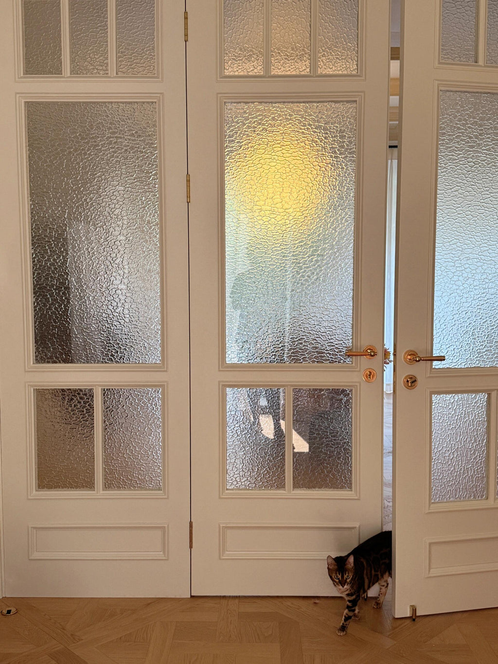 French Panel Double Door | Hammered Glass & Lacquered Frame