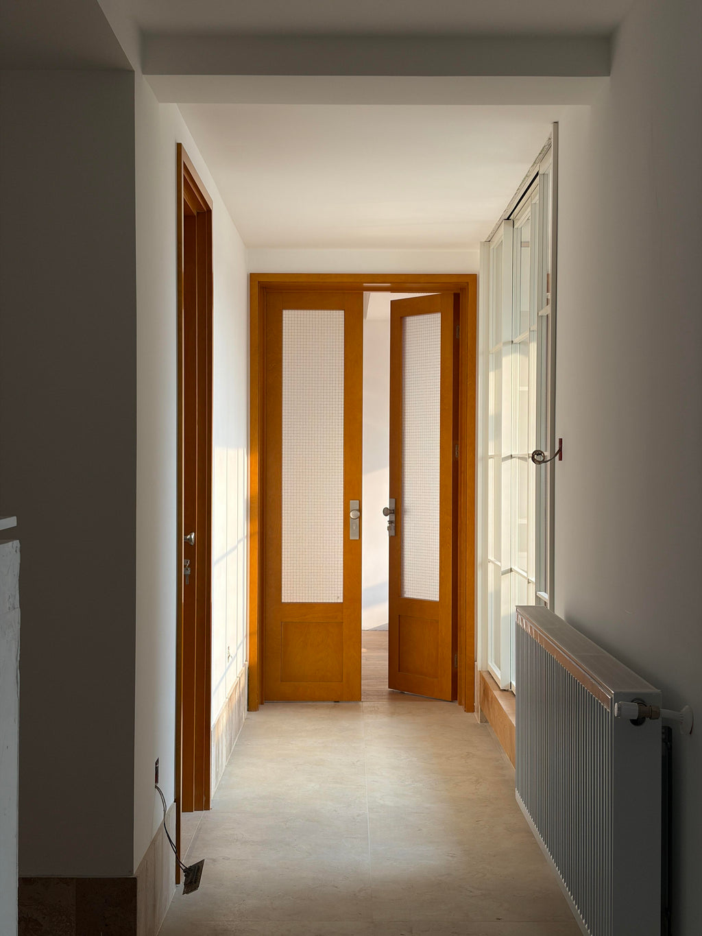 Birch Veneer Double Door | Wire-Mesh Glass