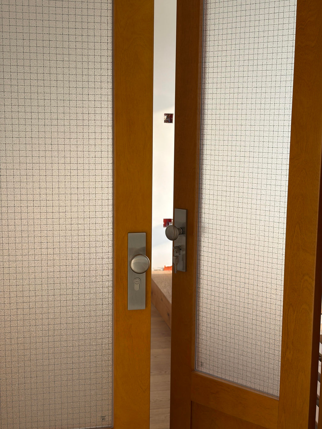 Birch Veneer Double Door | Wire-Mesh Glass