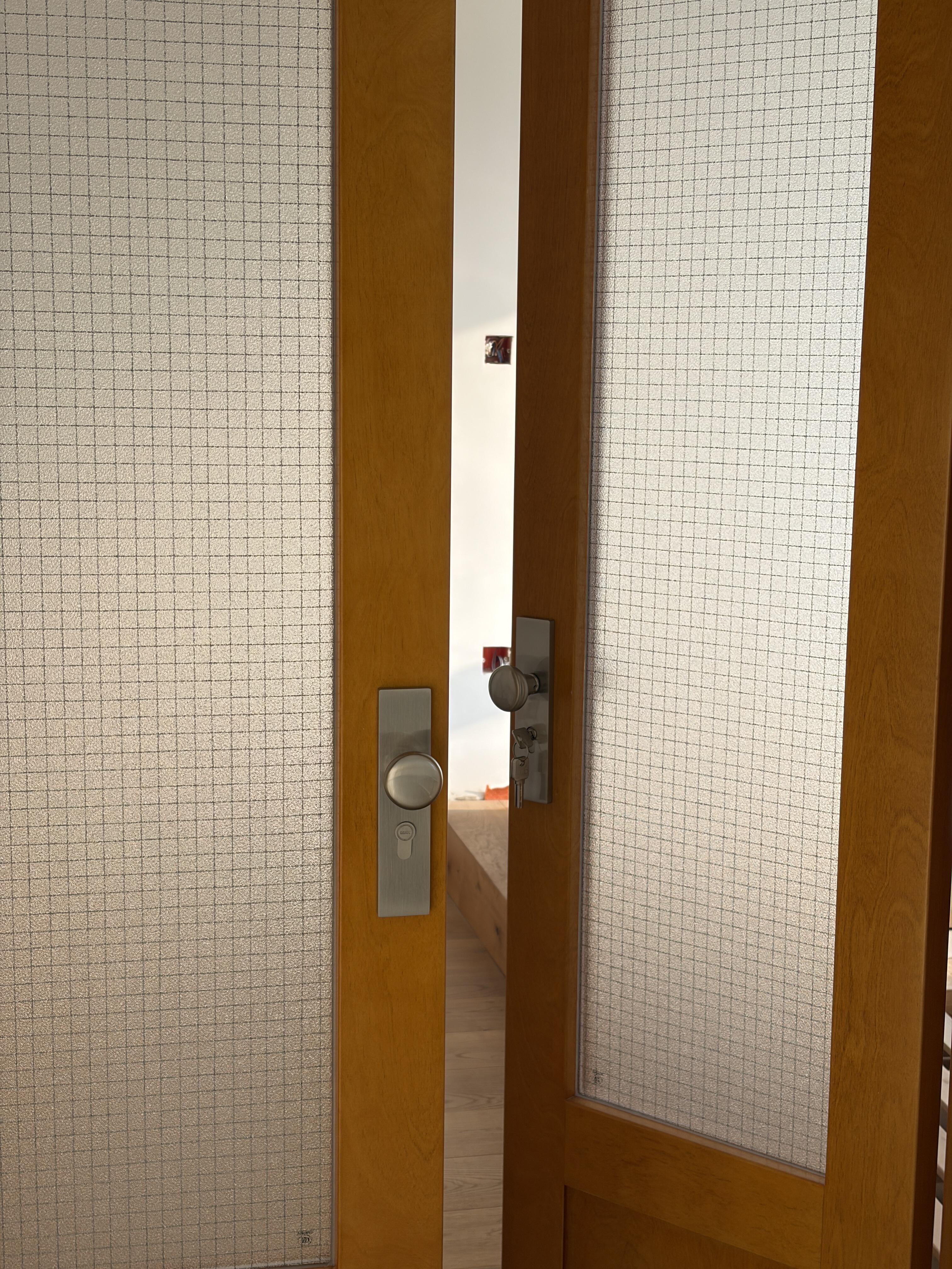 Birch Veneer Double Door | Wire-Mesh Glass