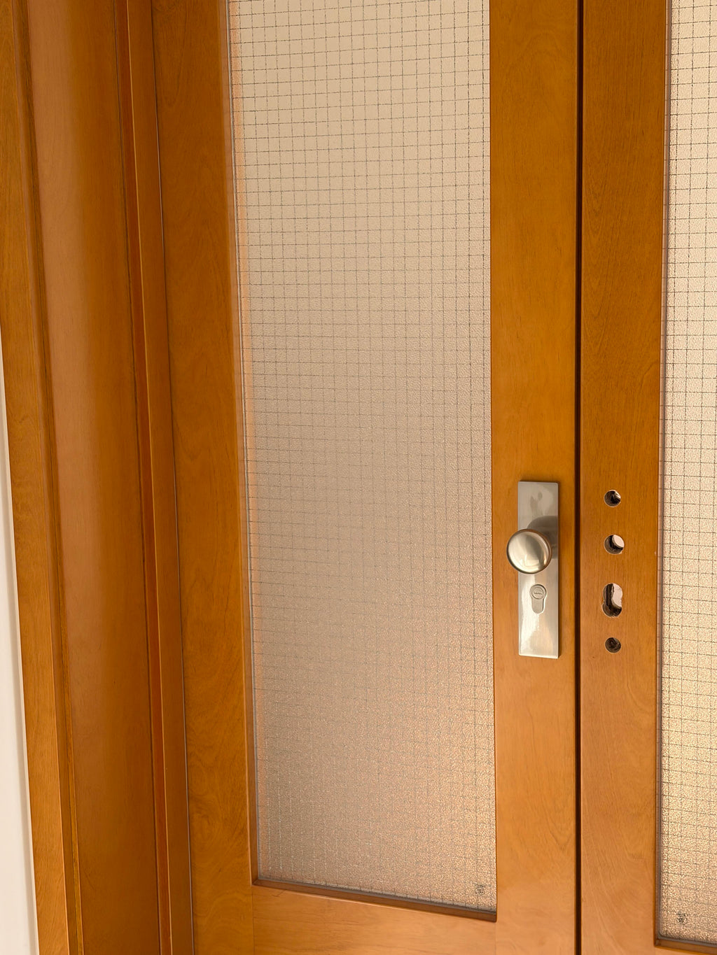 Birch Veneer Double Door | Wire-Mesh Glass